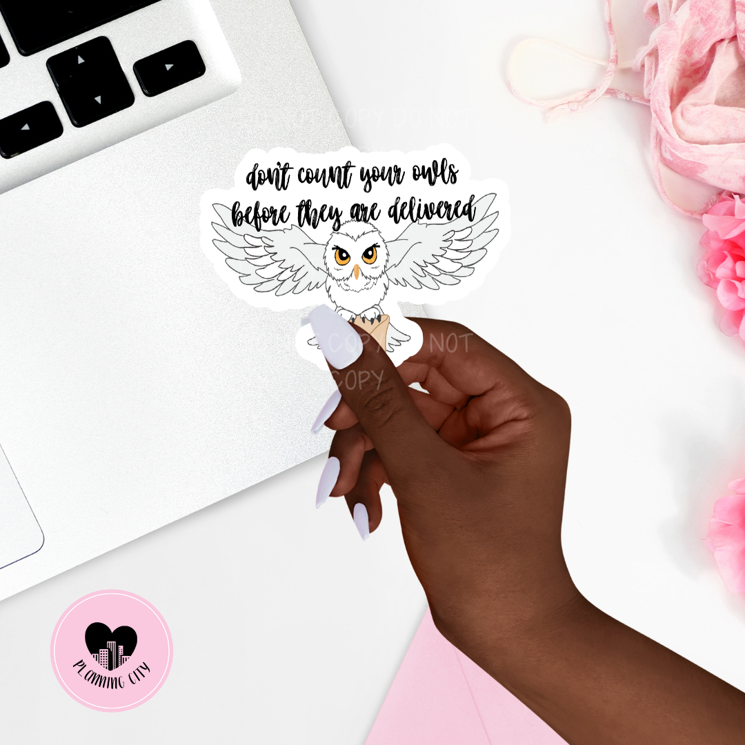 Don't Count Your Owls before they are Delivered II Vinyl Die Cut Sticker